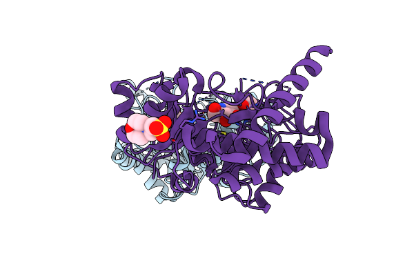 4HZM image