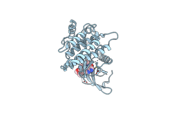 4I0R image
