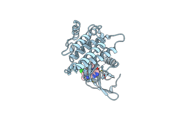 4I0S image