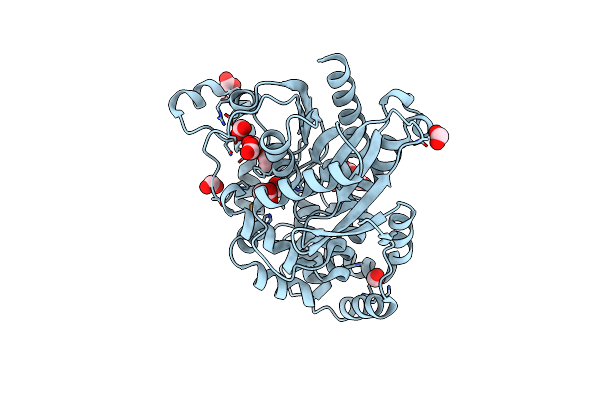 4I19 image