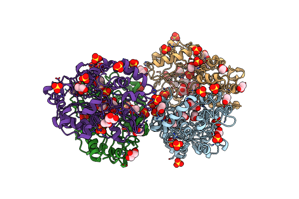 4I1D image