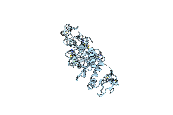 4I1F image