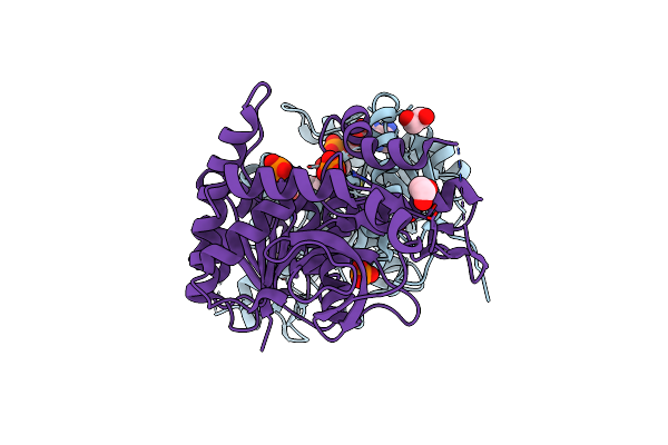 4I1I image