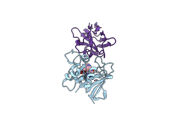 4I1N image