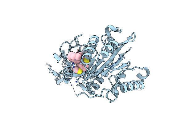 4I1R image