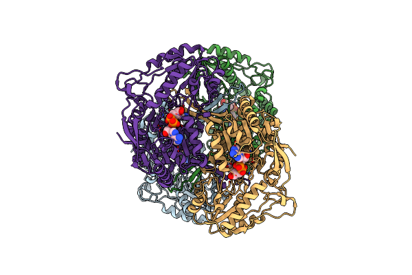 4I1W image