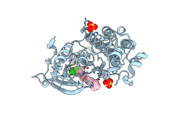4I22 image