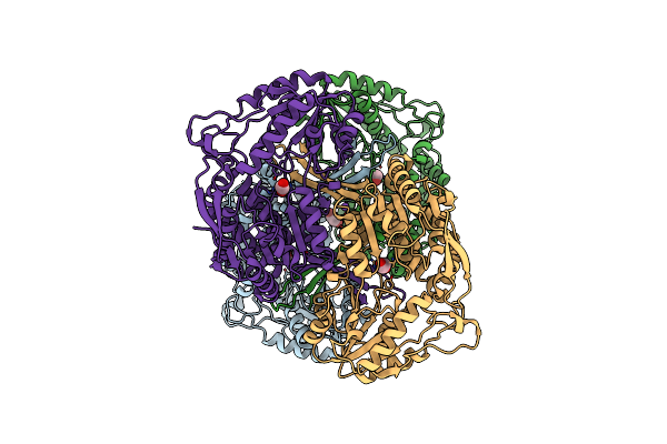 4I26 image