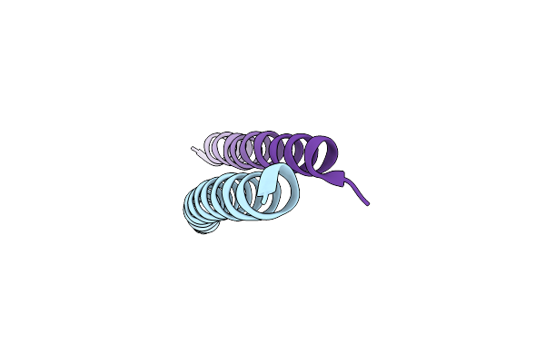 4I2L image