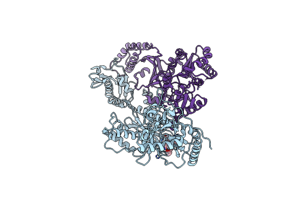 4I2P image