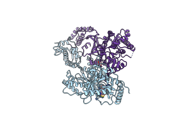 4I2Q image