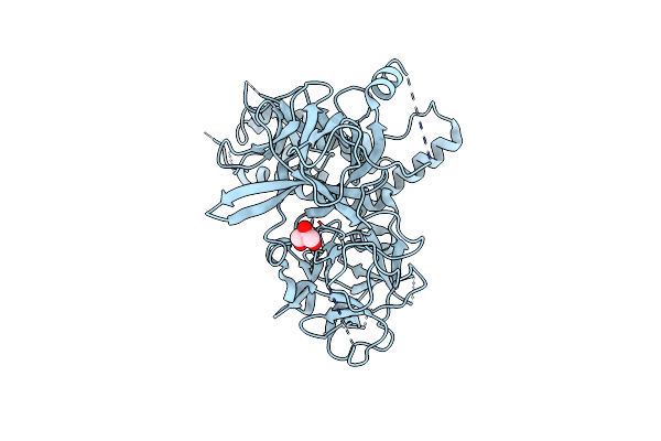 4I2S image
