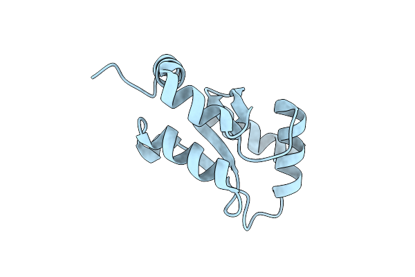 4I2T image