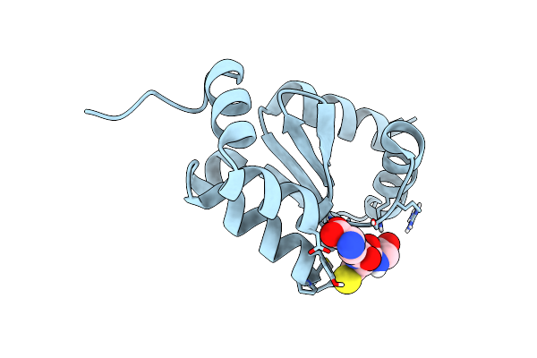 4I2U image