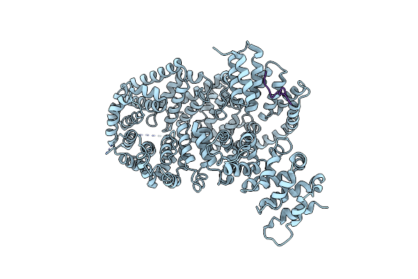 4I2W image