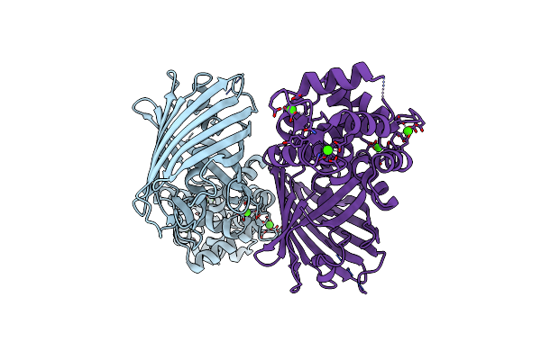 4I2Y image