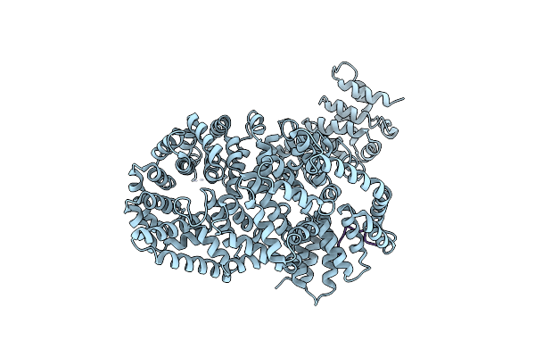 4I2Z image