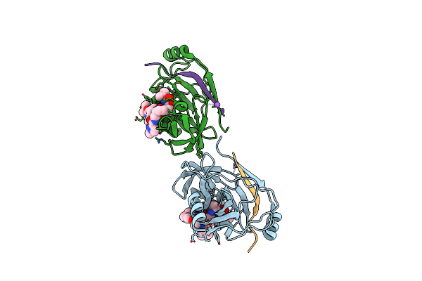 4I31 image