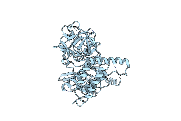 4I37 image