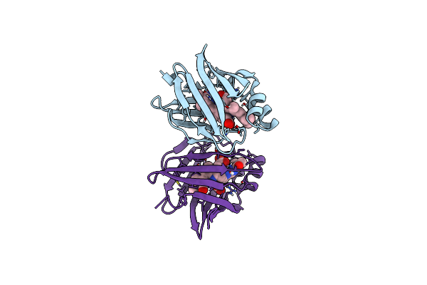 4I3C image