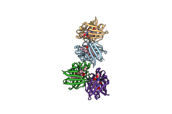 4I3D image