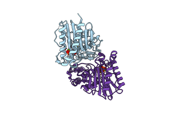 4I3E image