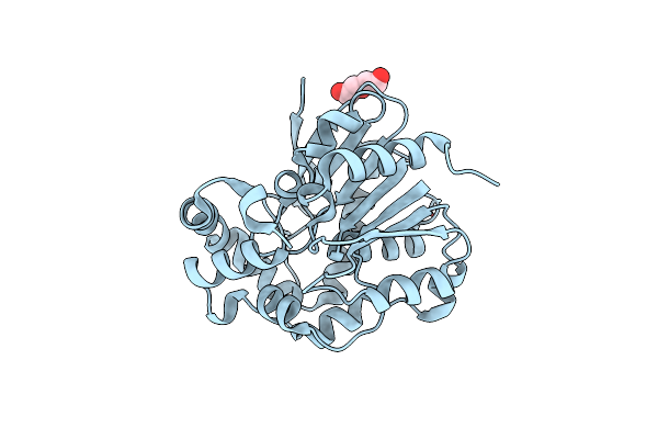 4I3F image