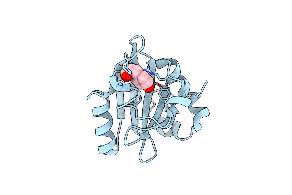 4I3I image