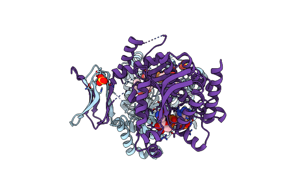 4I3L image