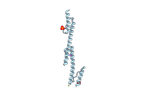 4I3M image
