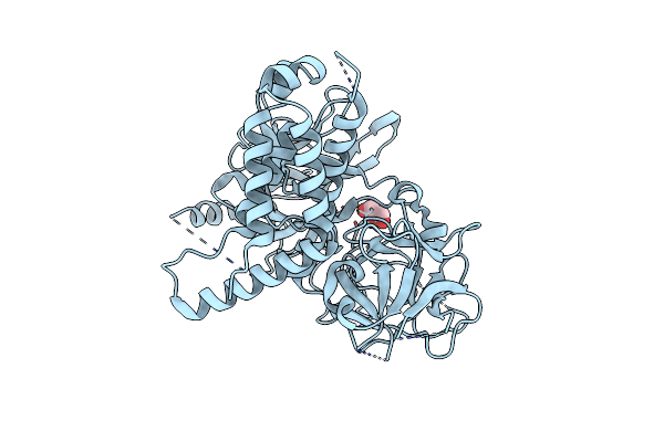 4I3N image