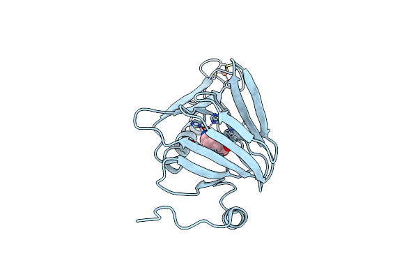 4I3P image