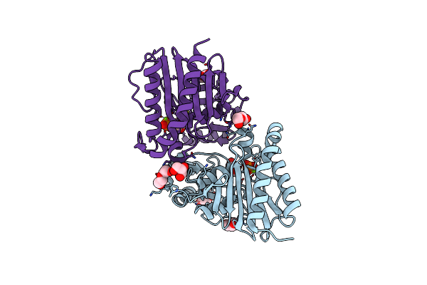 4I3Y image