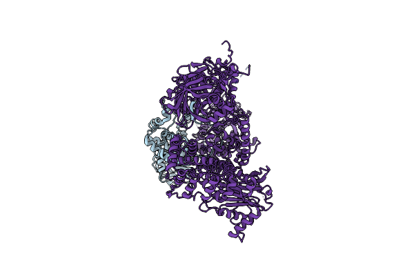 4I43 image