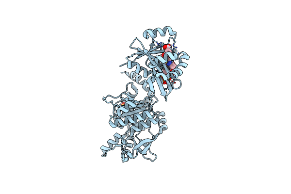 4I49 image