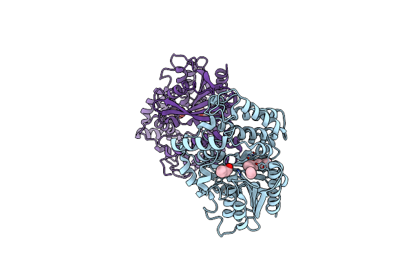 4I4C image