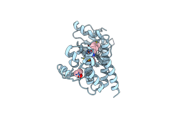 4I4F image