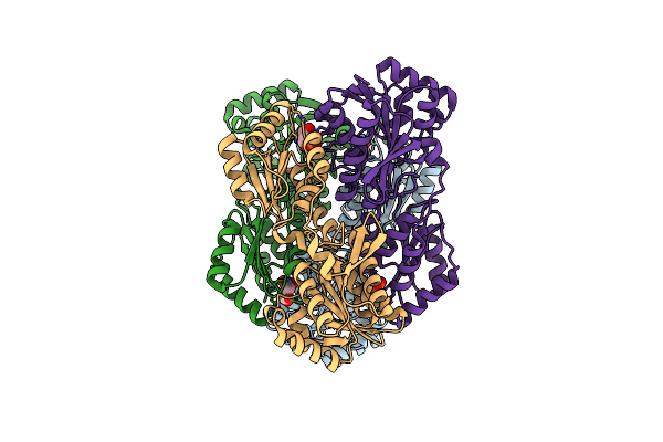 4I4I image