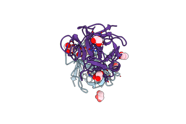 4I4O image