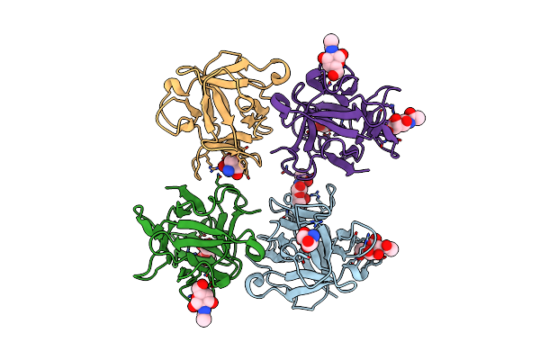 4I4V image
