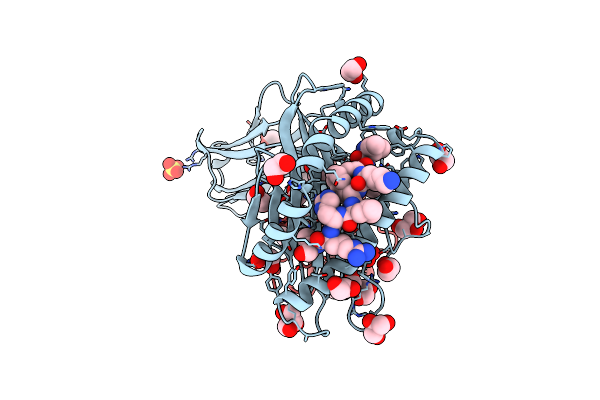4I4W image