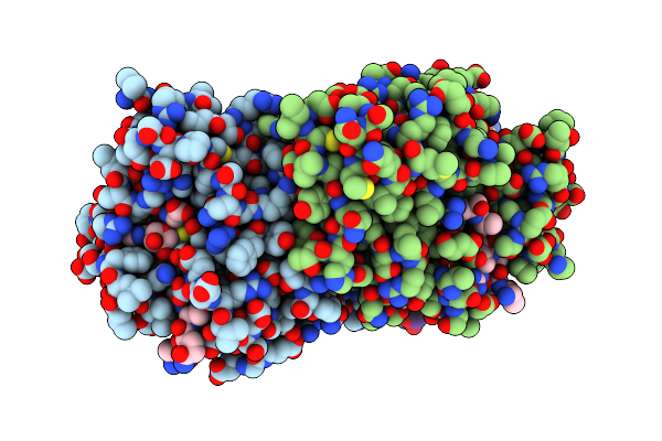 4I51 image