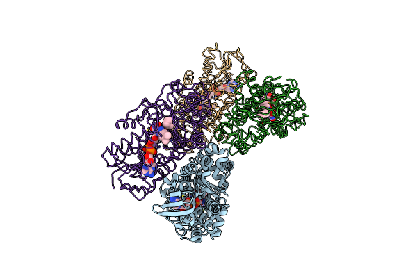 4I59 image