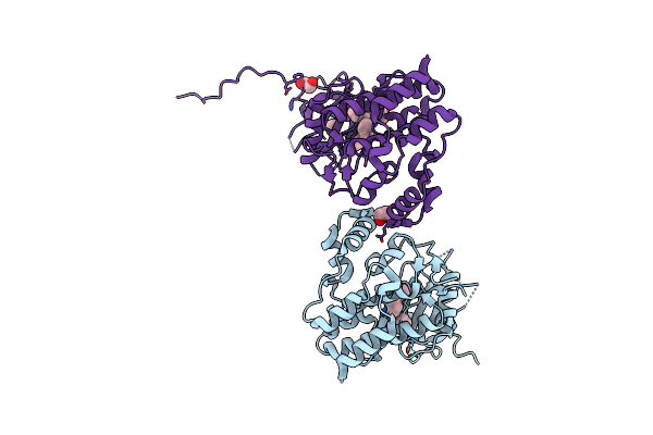 4I5C image