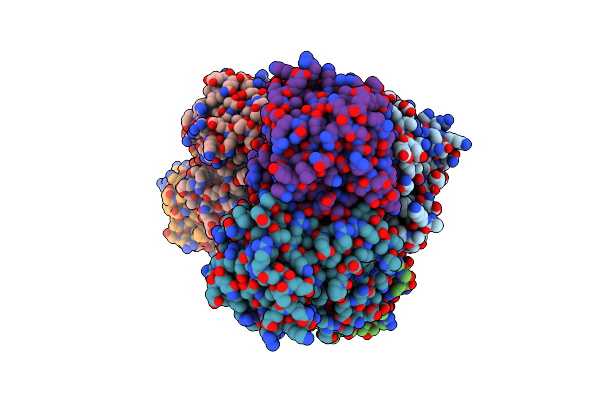4I5D image
