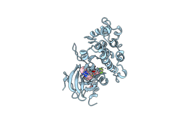 4I5H image