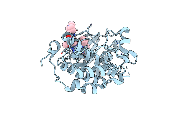4I5M image