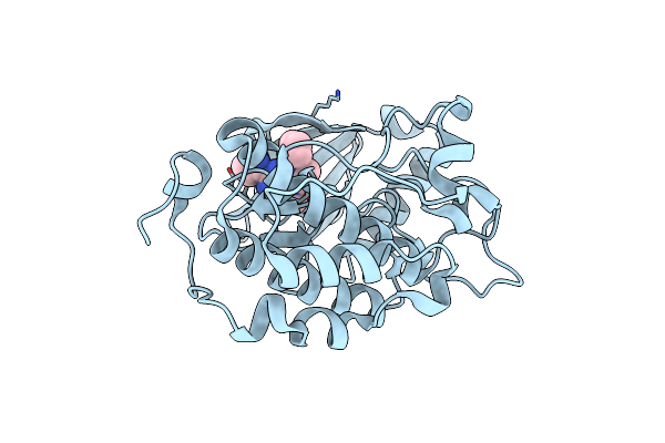 4I5P image