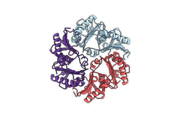 4I61 image