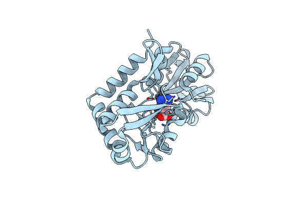 4I62 image